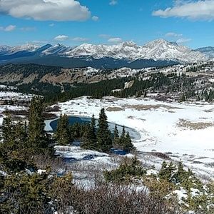 Meet your Posher, Desirae